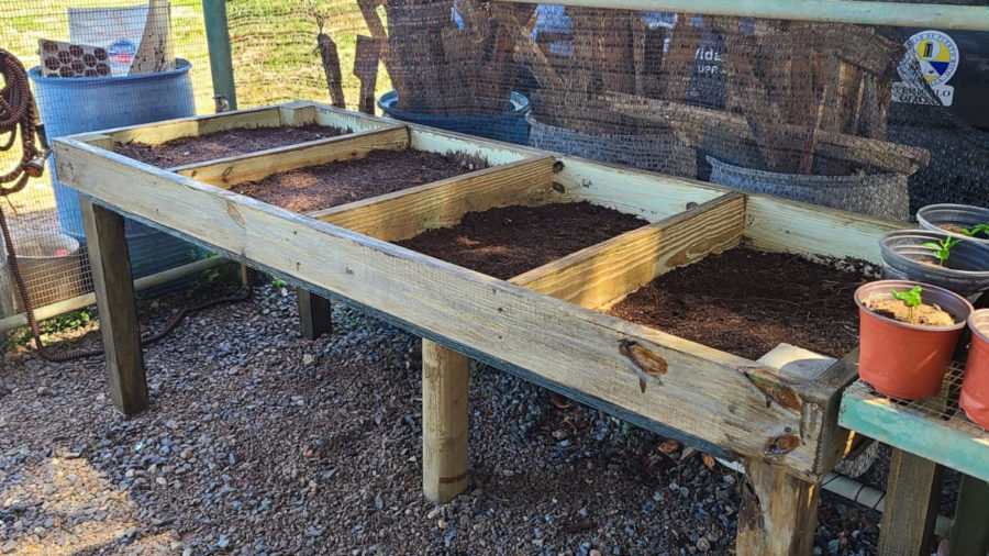 A germination table
