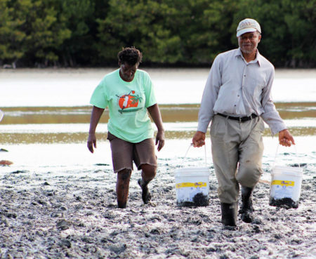 Residents of Union island, Harvesting Salt at Belmont Salt Pond.