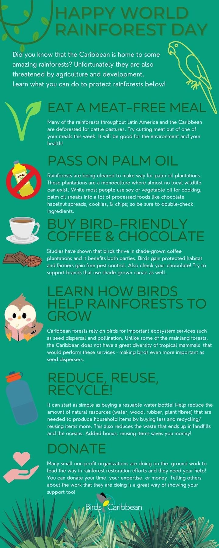 Tips for Helping to Conserve our Rainforests this World Rainforest Day