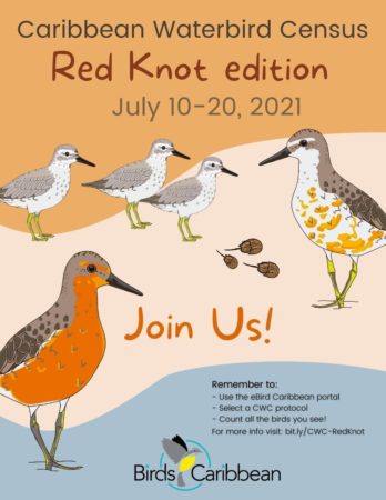Flyer asking people to do a CWC for Red Knots 10-20 July 2021