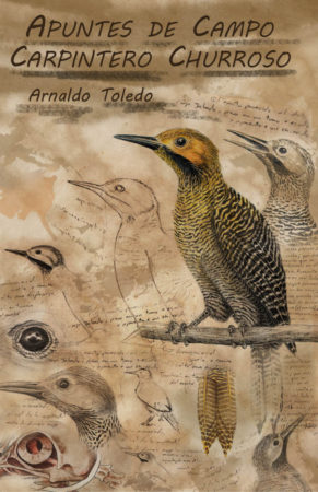 Image of Arnaldo Toledo's amazing Grand Prize winning bird Zine