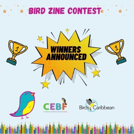 Bird Zine Contest Winners announcement graphic