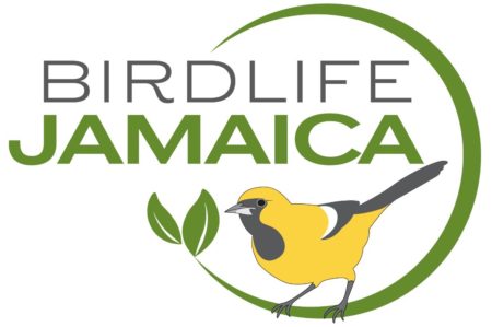 BirdLife-Jamaica new logo