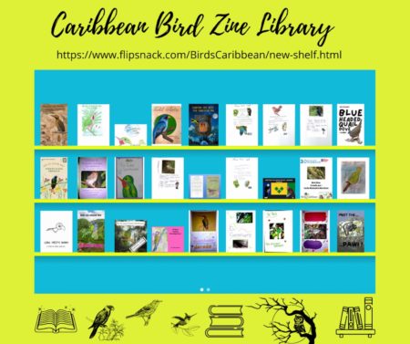 Zine Library Graphic