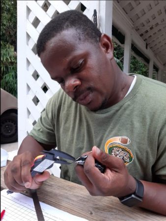 Scott Johnson of the Bahamas National Trust bands a Black and White Warbler