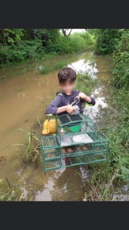 Cuban boy trapping wild birds, posted on Cuban social media.