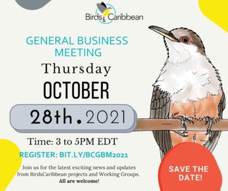 General Business Meeting promo graphic 2021