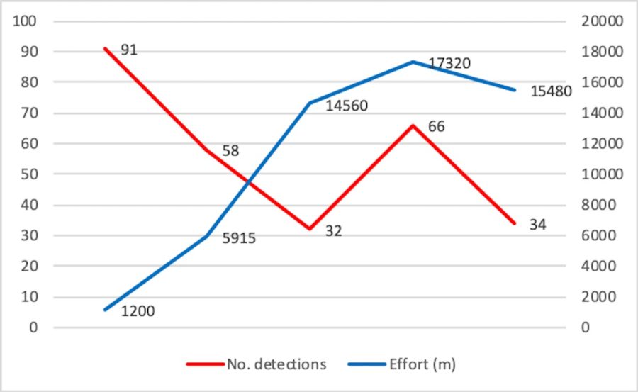 Graph showing Quail Dove detections