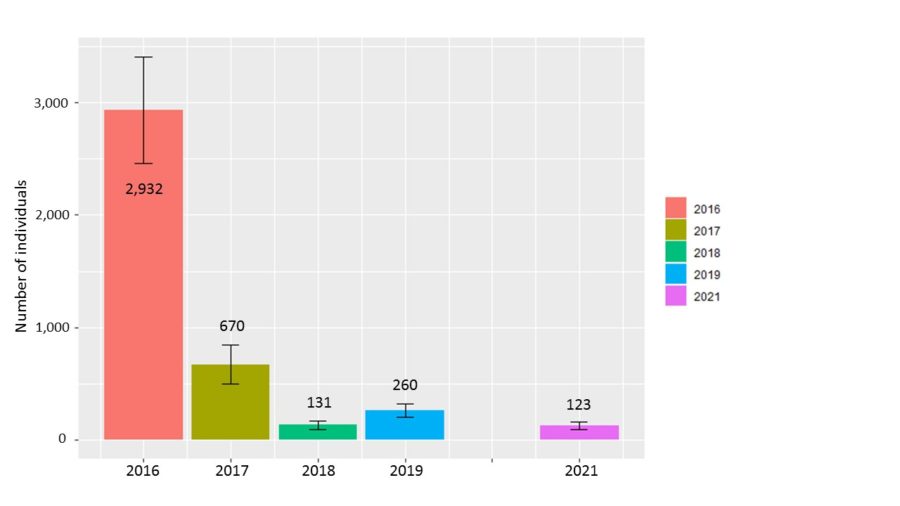 graph showing abundance estimates of Quail Doves