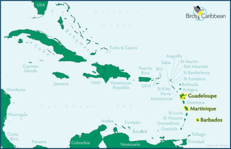 Map of the west Indies with Guadeloupe, Martinique and Barbados highlighted.