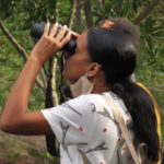 Looking for birds with binoculars
