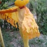 Yellow Warbler Costume