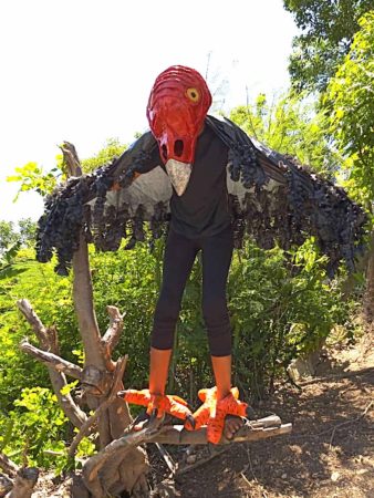 Cuban boy wearing Turkey Vulture costume for WMBD 2021