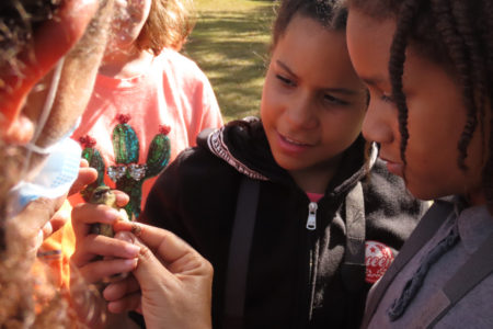 Bird in the hand with children looking at it