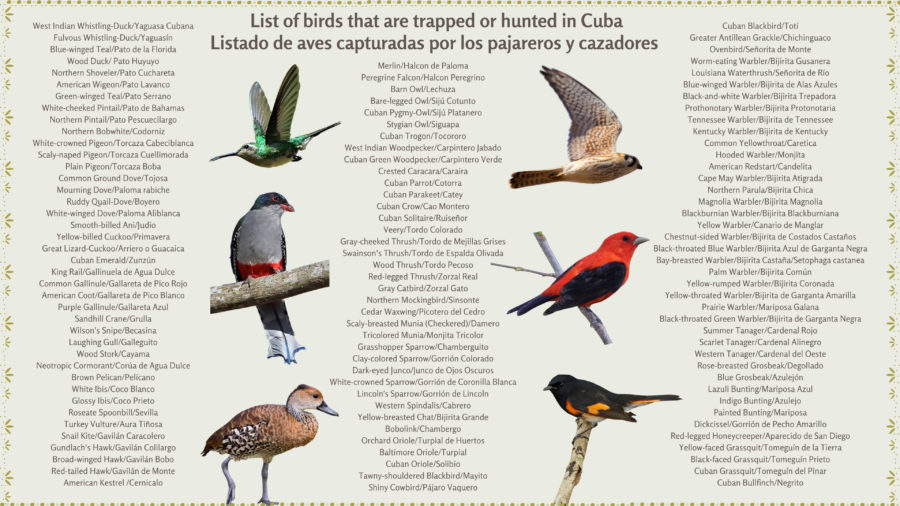 List of birds hunted and trapped in Cuba
