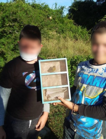 Young boys with a juvenile Painted Bunting in a small box