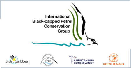 Graphic showing the main organizations supporting the International Black-capped Petrel Conservation Group