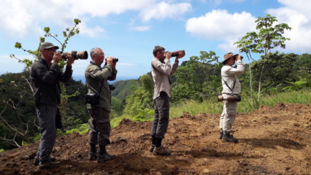 Birding the Islands clients on a tour.