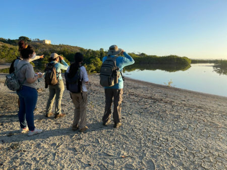 Birders