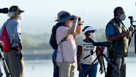 Group birding Jamaica