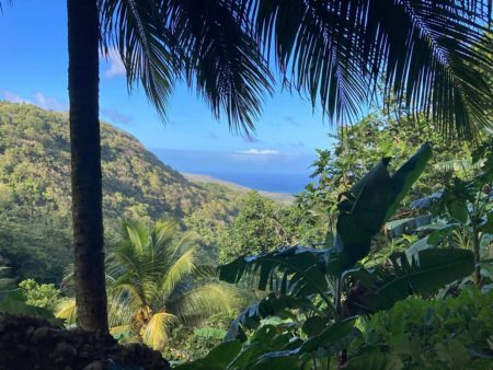 View from one of the trails in St Vincent and the Grenadines