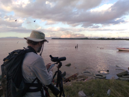 Birder makes an ebird list