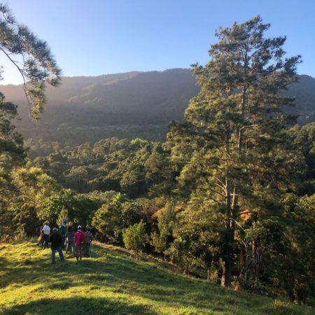 Fieldwork in the beautiful countryside of Jarabacoa, Dominican Republic.