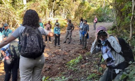 Workshop participants learn about surveys in an outdoor setting.