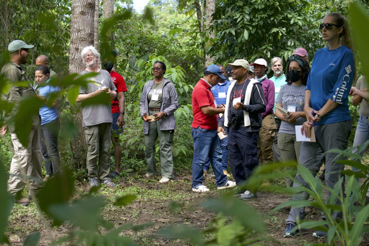 Participants engage in field exercises.
