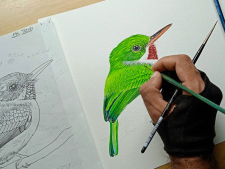 Arnaldo works on the painting of the Puerto Rican Tody from his initial sketches.