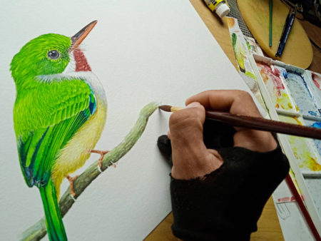 Arnaldo Toledo paints the finishing touches on the Puerto Rican Tody.