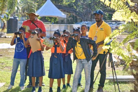 Youth birding with Damion White and Ricardo Miller, Botanical Gardens, Jamaica.