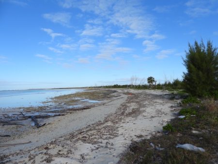 Bend in the Road Beach, low tide