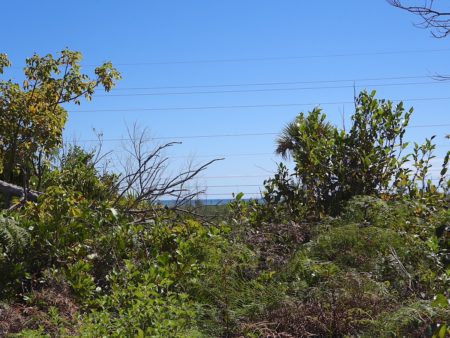 Lucayan National Park facing the beach.