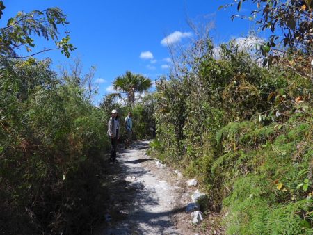 Lisa and Delores walk through Lucayan National Park.