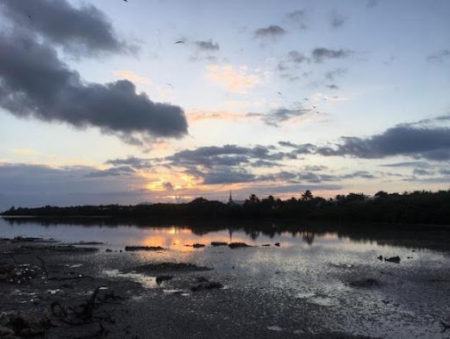 Booby Pond, Little Cayman.