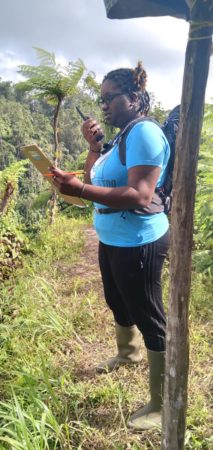 Forestry staff using radio to report parrot sighting.