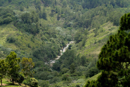 Rio Baiguate in the Jarabacoa Valley