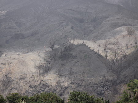 Decimated landscape near La Soufriere in the aftermath of the volcanic eruptions.