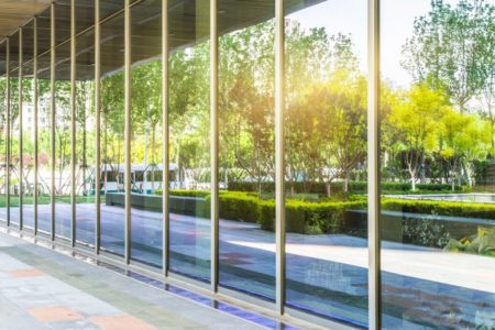 Glass panes that reflect trees and greenery can be problematic for birds.