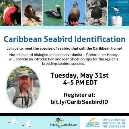 Graphic promoting the Caribbean Seabird Identification Webinar on Tuesday, May 31, 2022.