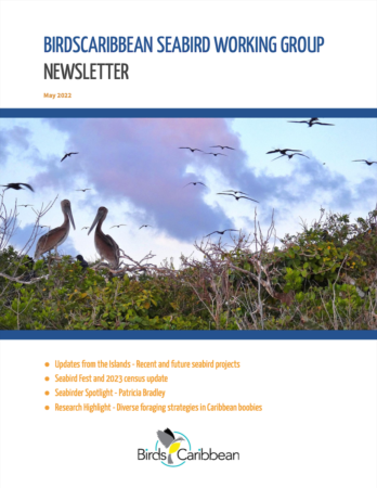 BirdsCaribbean Seabird Working Group Newsletter