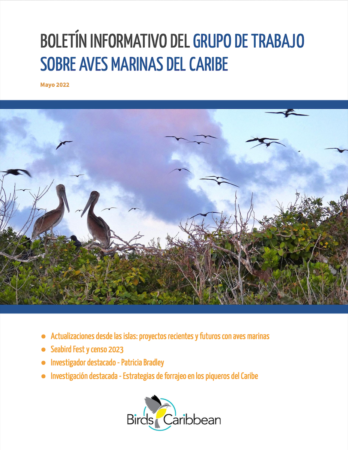 BirdsCaribbean Seabird Working Group Newsletter in Spanish