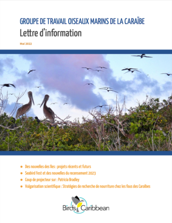 BirdsCaribbean Seabird Working Group Newsletter in French
