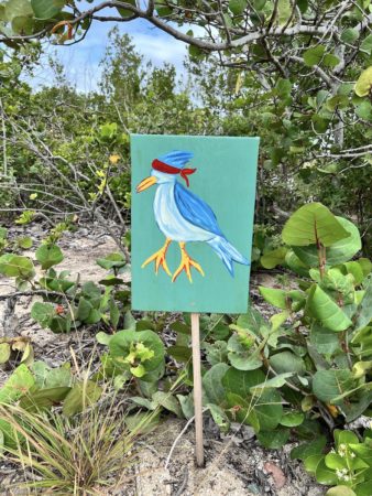 Bird blind sign on the road at Sandy Point, St. Croix.