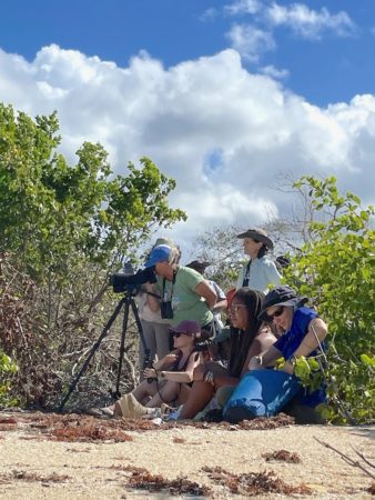 Caribbean Waterbird Census (CWC) birding.