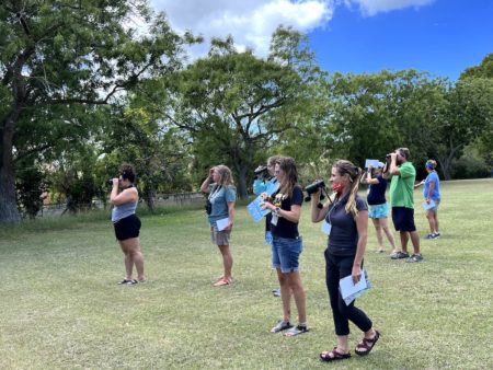 Finding and identifying birds on school grounds.