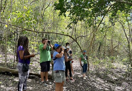 Finding birds in a nearby forest.