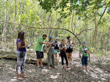 Finding and identifying-birds in the forest.