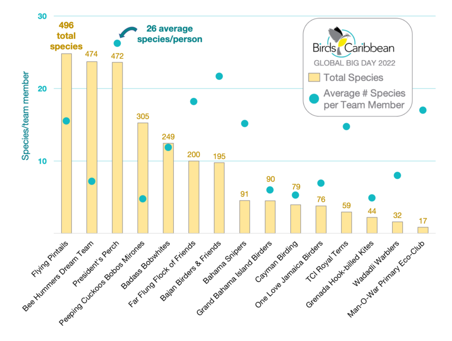 Graph showing the number of species seen per team.